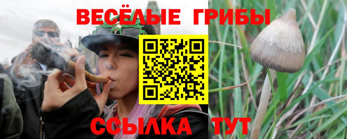 Галлюциногенные грибы MAGIC MUSHROOMS  Галлюциногенные грибы GOLDEN TEACHER  Вход с VPN  где продают   Комсомольск-на-Амуре 