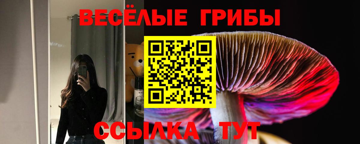 Галлюциногенные грибы GOLDEN TEACHER Комсомольск-на-Амуре